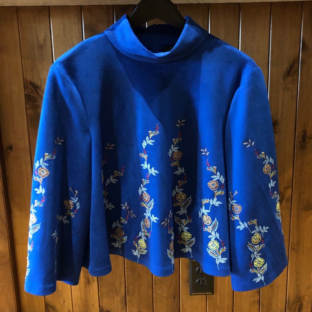 Zara Blue Suede Embroidered Top
